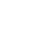 Icono instagram